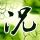 人间正道是沧桑
